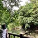 탐라국꾼 | 제주 안덕계곡 여름, 그리고 가을