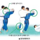 미르 주짓수 유도관 이미지