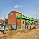 용문산 은행나무길(물소리길 6코스) | 경기도 양평 물소리길 4코스 ('26.4.5)