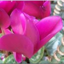 연합농장 이미지