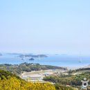 [추천!가볼만한곳 ] 봄에 차를 타고 떠나는 매력적인 섬 여행, 인천 영흥도﻿ 이미지