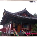 중문오렌지파크 이미지