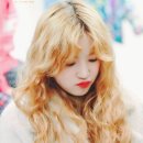 우기차니 이미지