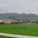 디딤디자인 이미지