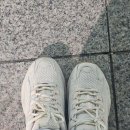 삼성딜라이트 | 🎀 내돈내산 | 스케쳐스 여성 딜라이트 하이커 후기