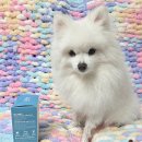 제이원피앤지 이미지