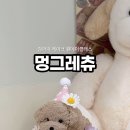 멍그레츄 이미지