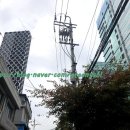 매머드익스프레스문정역 - 77162 | 매머드커피 익스프레스 (맘모스커피) 메뉴 테이크아웃