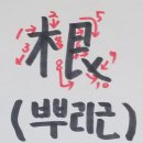 뿌리근