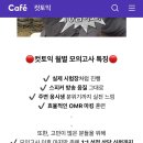 📚 종로 YBM 컷토익 리얼후기｜2026년 6월 수강｜공기업 필수 스펙 토익 준비과정
