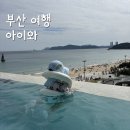 디오아트 | [부산] 아이랑 여행 국립해양박물관 클럽디오아시스 실내 아이와 가볼만한곳 내돈내산