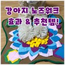 슬기세탁 | 강아지노즈워크 장난감 리뷰｜슬기로운멍냥이 노즈워크매트 사용 후기