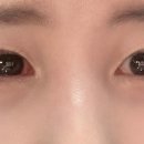 한양민물장어 이미지