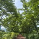 창성짬뽕 - 남양주시 진건오남로 814 | 경남 거창 항노화힐링랜드 근처 중식 맛집 창성 비빔짬뽕 내돈내산 후기
