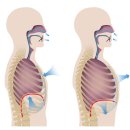 웰니스헬스 제이필라테스 요기요가 이미지