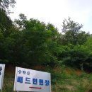 승학산 배드민턴장 이미지