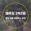 제주도 2박3일 겨울 여행코스 추천 :: 12월 제주여행 팸투어