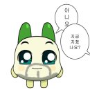 복닥복닥 이미지