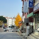 해동세탁소 | 파주원조영의정인절미 좋은날좋은떡 정담길인절미, 흑임자인절미 먹어본 후기