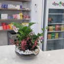 플랜디오