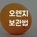 오렌지수산 이미지