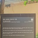 영천 과전동 일본식 가옥 이미지