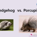 예안농장 이미지