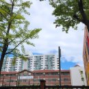 서울등현초등학교 이미지