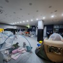 삼송백호태권도장 이미지