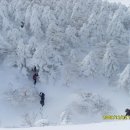 한라산 --마라도 겨울 눈꽃산행 이미지