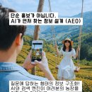 파머드림