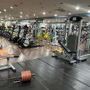 테마사우나