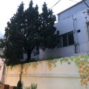 에이바우트커피천안터미널점 이미지