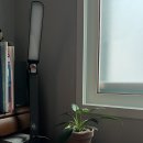 사래실천 | [일상] 나는 왜 연어처럼 세상을 거슬러 올라가려 하나