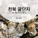천북굴단지 맛집 추천 보령 겨울 축제 주차 가격 메뉴 구이 후기