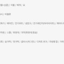 소노펠리체 델피노 이미지