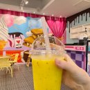 수앰엔에이어쏘씨에이트 | 제주 샌드 선물 동문시장 초콜릿 맛집 찰리공장 예쁜 포장 후기