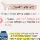 산양유 산양유 단백질 효능 안좋은점 이미지