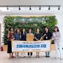 선도 이미지