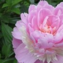 세준농장 이미지