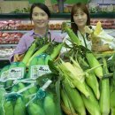 웰빙마트 이미지