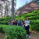 에벤에셀목장 이미지