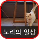 24시 쓰담쓰담 동물메디컬 센터 이미지
