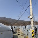 신디농장 | 남양주 놀거리 | 내돈내산 서울 근교 딸기체험 꿀팁 총정리, 달디달고 달디단 딸기밭 (잼체험 추천)