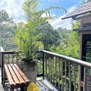 하라 | 아코하라 우붓 플로팅 조식 후기｜발리 신혼여행 리조트 스파까지 하루 힐링 코스