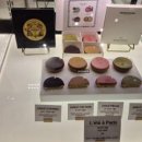 방배로32길 55 이미지