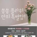 에스컨벤션웨딩