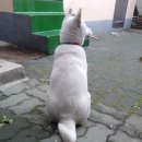 한*대