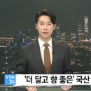 국산 신품종의 포도 등장 '슈팅스타' 이미지