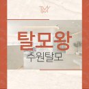 TMW 탈모왕수원 이미지